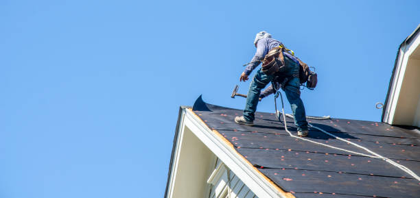 Best Roof Repair Services  in Orange Cove, CA